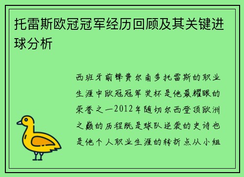 托雷斯欧冠冠军经历回顾及其关键进球分析